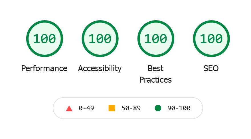 Google Lighthouse test for The Perfect Website: score 100 out of 100